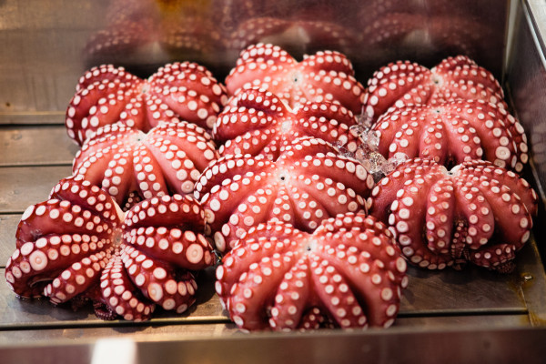 Octopus at Tsukiji